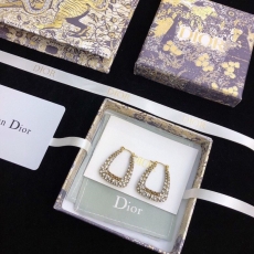 Christian Dior Earrings